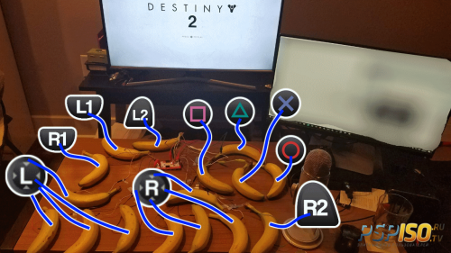 Сюжетная компания Destiny 2 проходится за 16 бананов