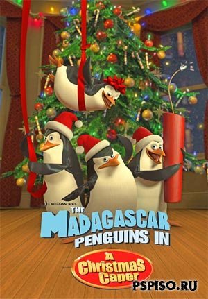 Madagascar Penguins /   