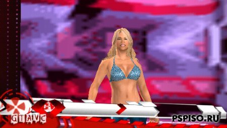 WWE SmackDown vs. Raw 2009 - ,   psp, psp gta,    psp.