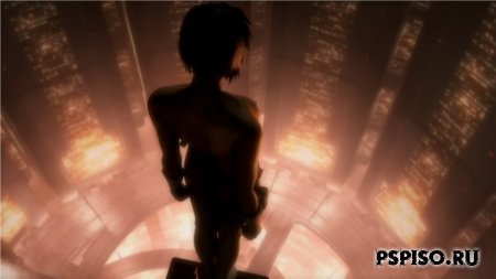    2.0 / Ghost in the Shell 2 (2008) DVDRip - ,  ,   psp,   psp.