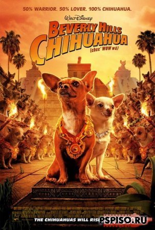  - / Beverly Hills Chihuahua (2008) [DVDRip]