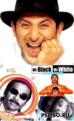      / Mr. White Mr. Black (2008/DVDRIP)