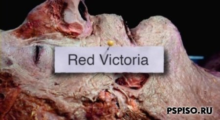   / Red Victoria (2008/DVDRIP)