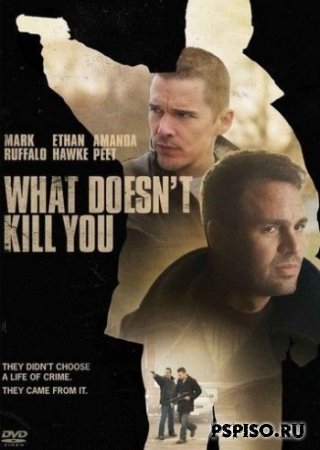     / What Doesn't Kill You (2008/DVDRIP)