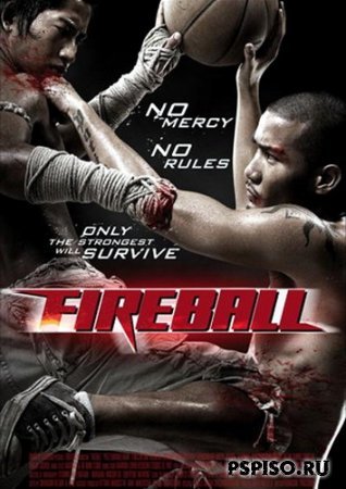  / Fireball (2009) [DVDRip]