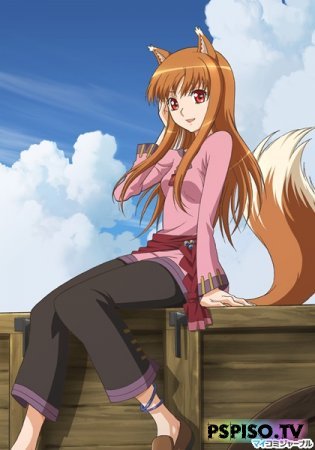    ( ) / Spice and Wolf II [2009]