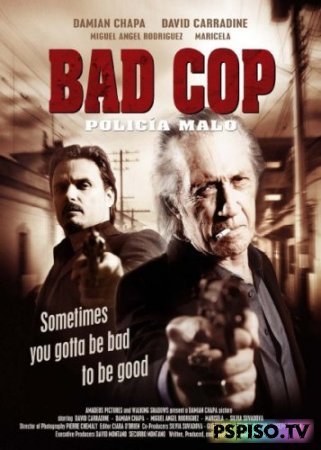   / Bad Cop (2009) DVDRip - ,    psp,  ,  .
