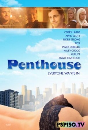   The Penthouse (2010) [DVDRip]