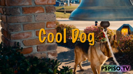   (  ) / Cool Dog (  / Danny Lerner) (2010)  DVDRip  - ,   psp,  psp,  .