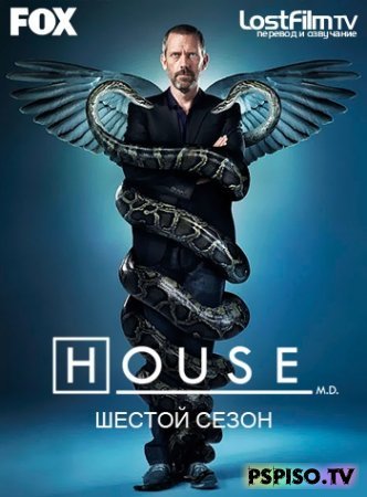   / House M.D. Season Six / 2009 -    psp,  , ,   psp .