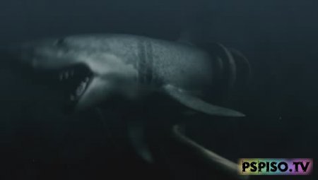     / -    / Mega Shark vs Giant Octopus (2009)[HDRip]