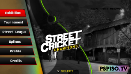 Street Cricket Champions [EUR]