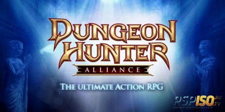   Dungeon Hunter Alliance  PS VITA