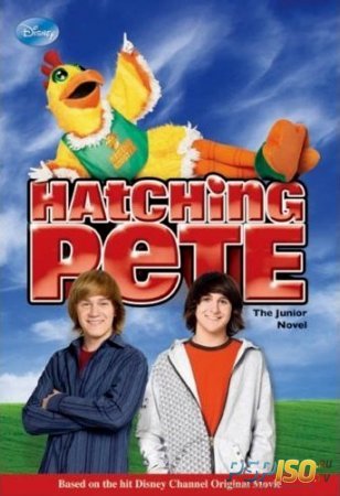    / Hatching Pete