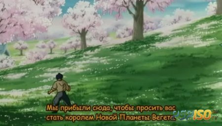  :   / Dragon Ball Z Movie 8: The Legendary Super Saiyan