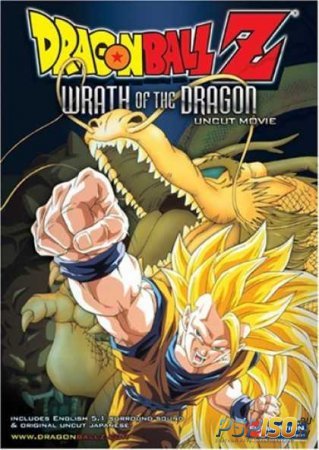   :  13 / Dragon Ball Z Movie 13 Wrath of the Dragon
