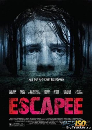  / Escapee (2011) [DVDRip]