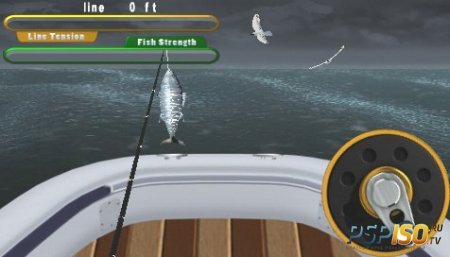 Flick Fishing [EUR]