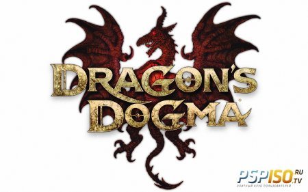    Dragon's Dogma +      