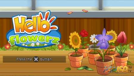 Hello Flowerz [EUR]