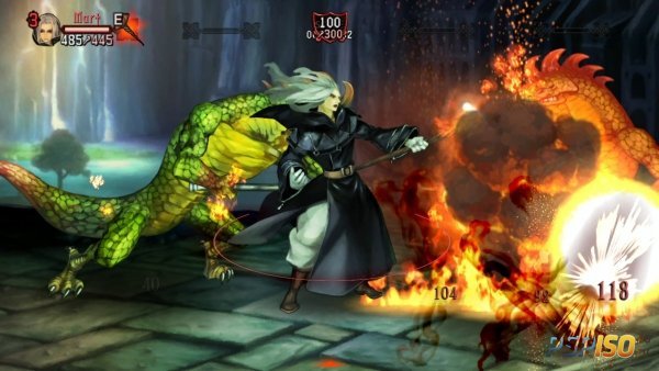 Dragons Crown -  Wizard