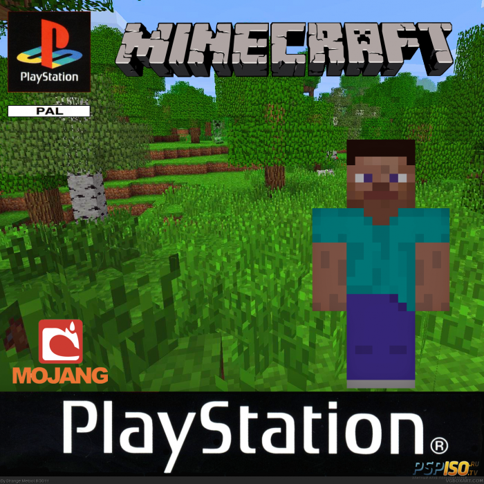 Sony   .  Minecraft   Playstation?