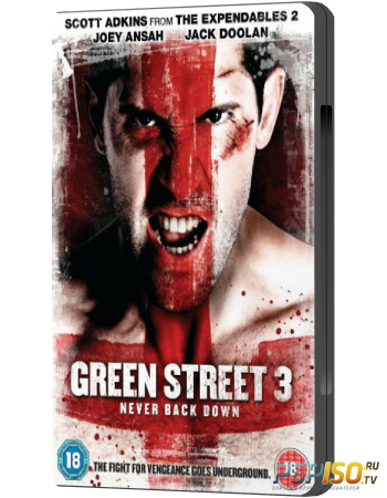  3 / Green Street 3: Never Back Down (2013) HDRip