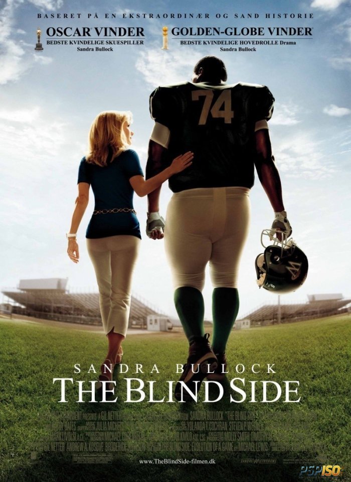  / The Blind Side (  ) [2009, DVDScr]