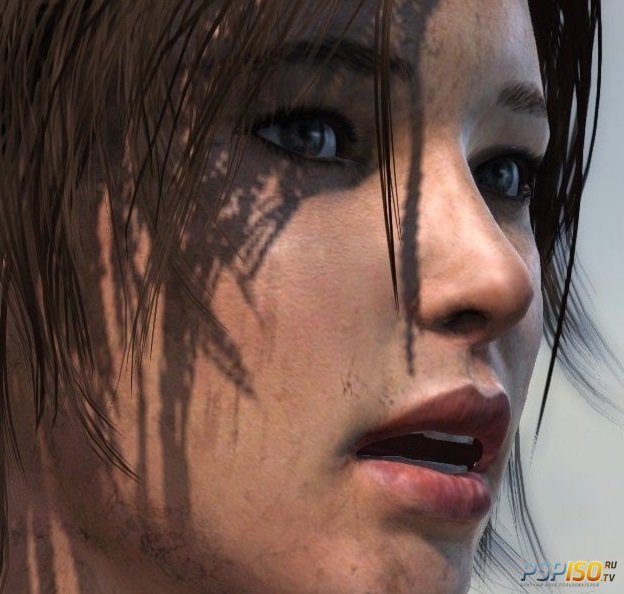   Rise of the Tomb Raider ( )