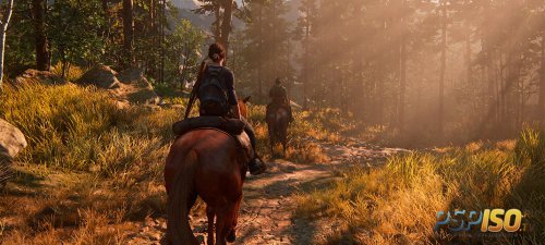 В новом The Last of Us имеется проработанная физика для веревок