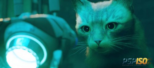    PS Plus    Stray,    !