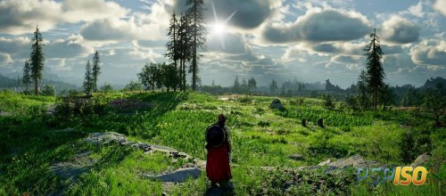 ���� Crimson Desert ������� - ������������ ������� ������ ������� ���������� �������