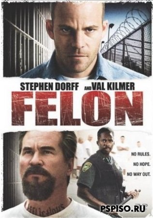  / Felon (2008/DVDRip)